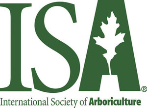 ISA Logo