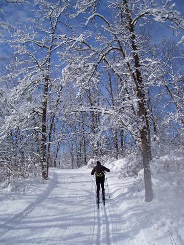 Lone Skier on Trail 